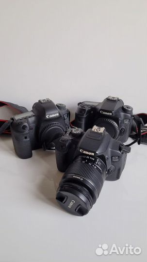 Фотоаппараты Canon в ассортименте
