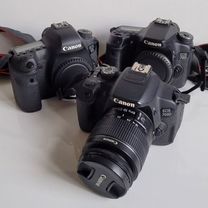 Фотоаппараты Canon в ассортименте