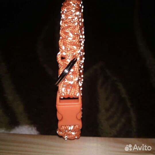 Ошейник из паракорда под адресник