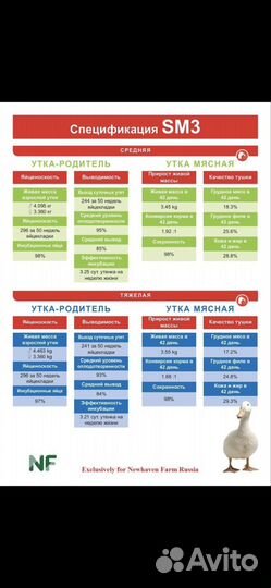 Бройлер цыплята 27.05, утята,Мараны, Перепел