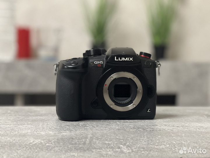 Panasonic lumix gh5s