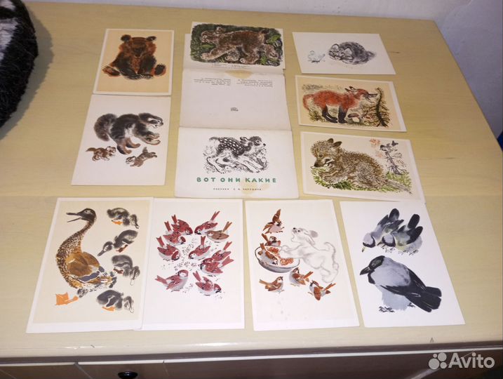 Набор открыток Вот они какие, Чарушин, 1967