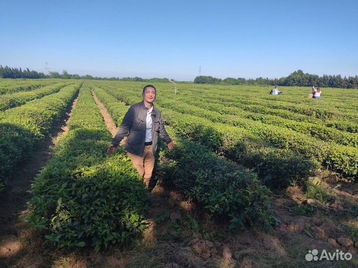 Экскурсия — Баку — Из Баку — в Ленкорань: поездка