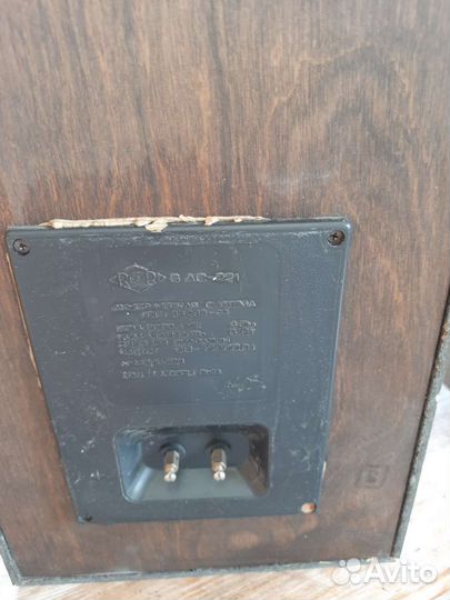 Акустические колонки радиотехника 6 ас-221