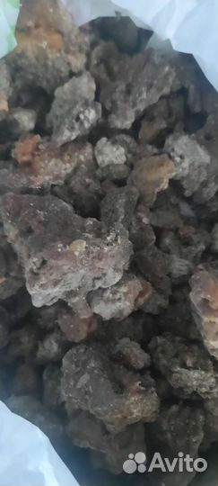 Живица кедровая