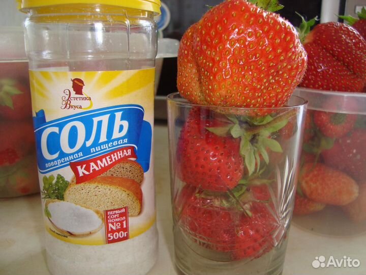 Рассада клубники