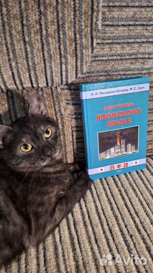 Японский язык самоучитель