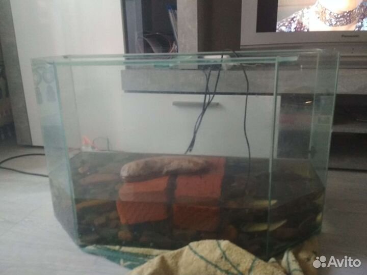 Аквариум