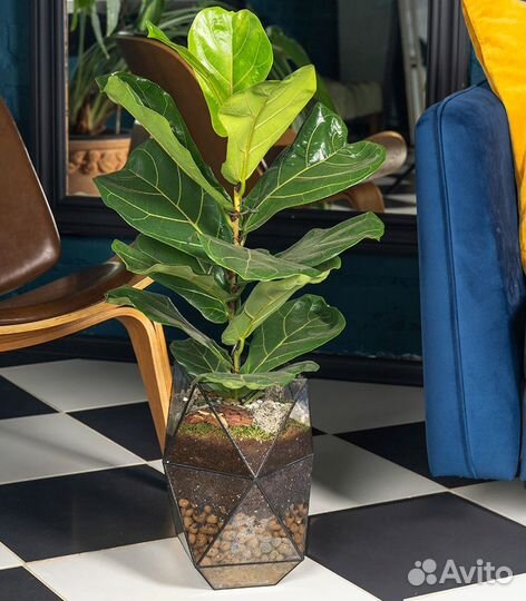 Озеленение офисов