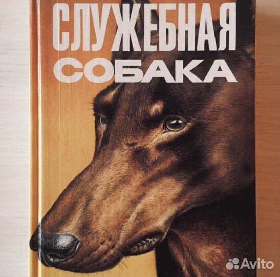 Служебная собака - Мазовер