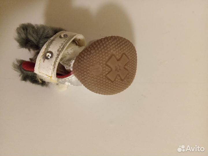 Ботинки для маленькой собаки