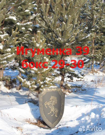 Щит для шампуров