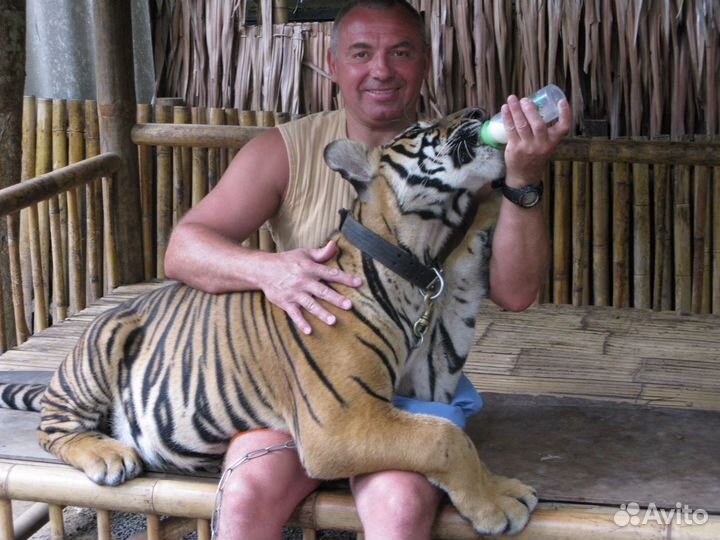 Персональный водитель