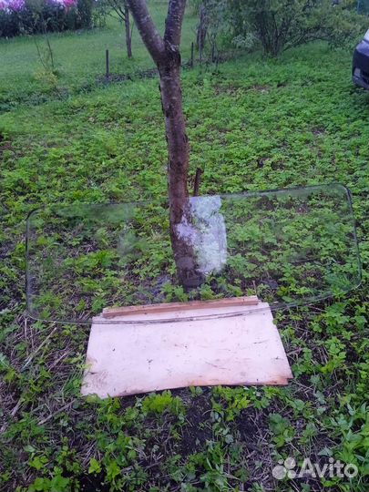 Заднее стекло на Волга Газ-24