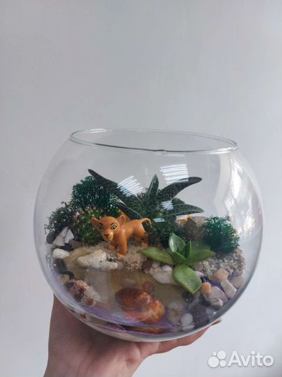 Флорариум с живыми цветами 
