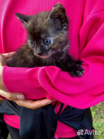 Космический котёнок-девочка