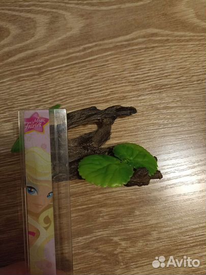 Коряга новая