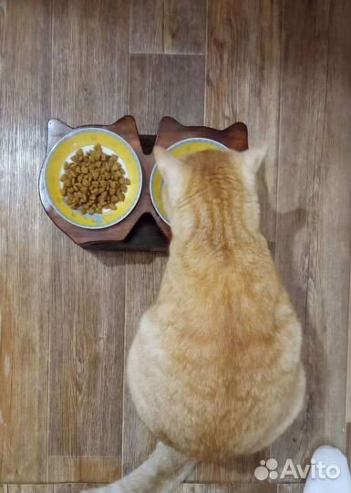 Подставка для мисок домашних животных