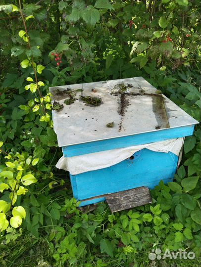 Улей для пчел