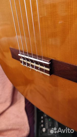 Yamaha CG142S (Ель, Классика, классическая гитара)