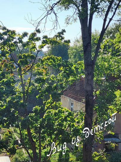 5-к. квартира, 202 м², 4/4 эт.