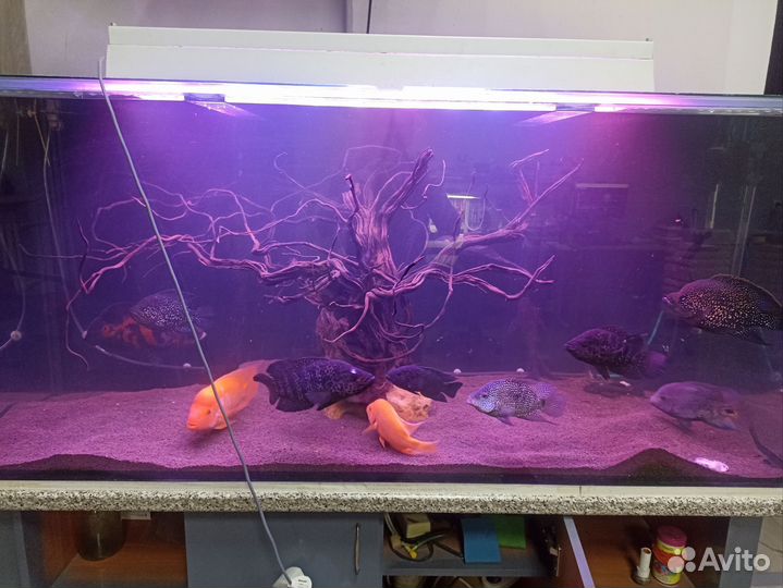 Аквариумный светильник