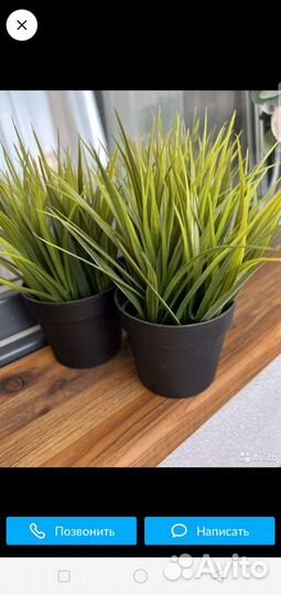 Искусственные цветы IKEA