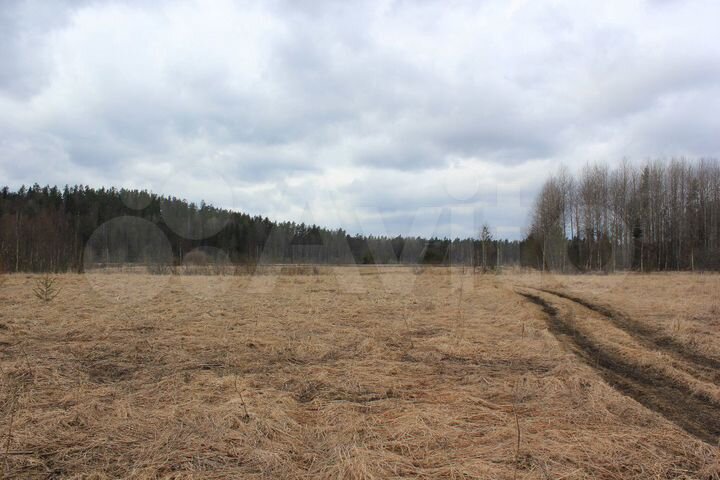 Участок 2,6 га (СНТ, ДНП)