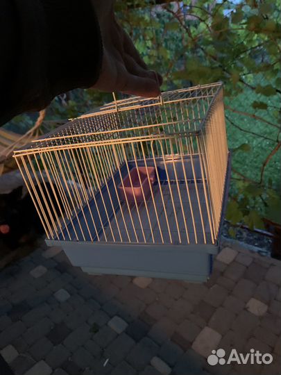 Кетка для хомяка