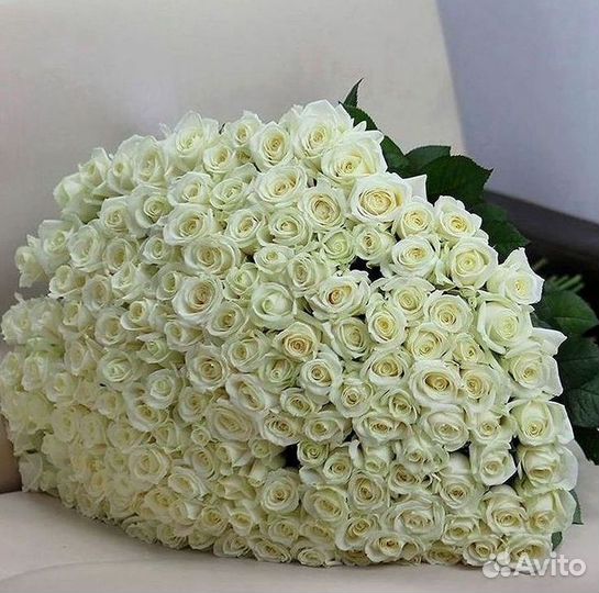 101 Роза Цветы Букеты 51 25 Роз Доставка