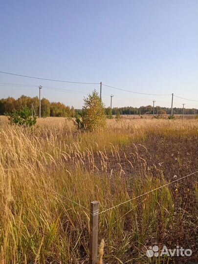 Вынос точек, геодезические замеры участка