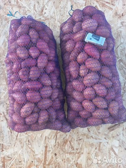 Картошка продажа