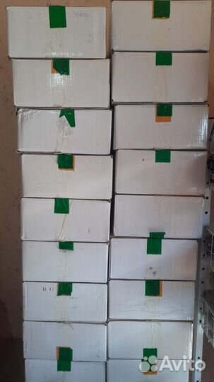 Орех грецкий