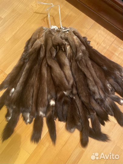 Шкурки соболя