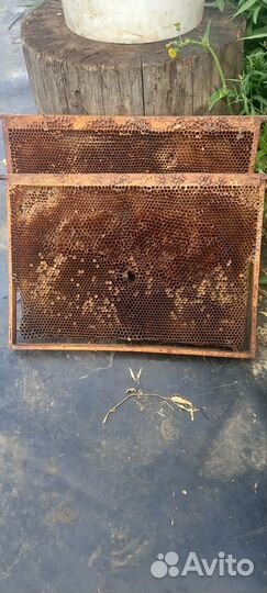 Рамки для ульев сушь