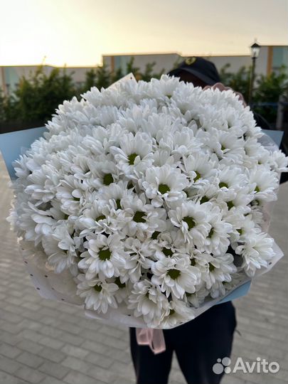 Букет из ромашек,доставка цветов Калининград