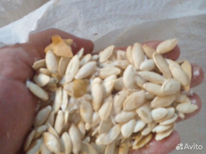 Сыродавленное масло из семян дыни