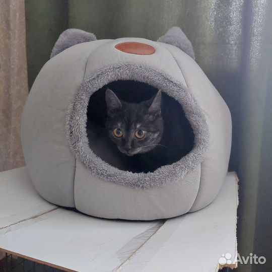 Домик для кошки мягкий б/у