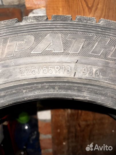 Toyo Winter Tranpath S1 225/55 R18