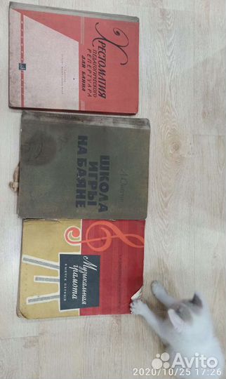 Баян с историей. 1949гв