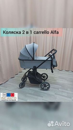 Коляска 2 в 1 Carrello Alfa 2023