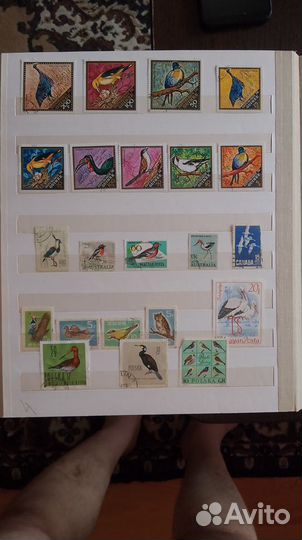 Почтовые марки редкие
