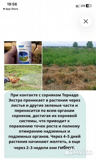 Гербицид торнадо 540