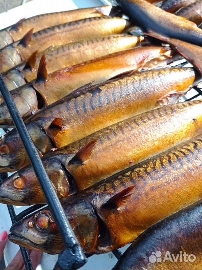 Копчёная рыба