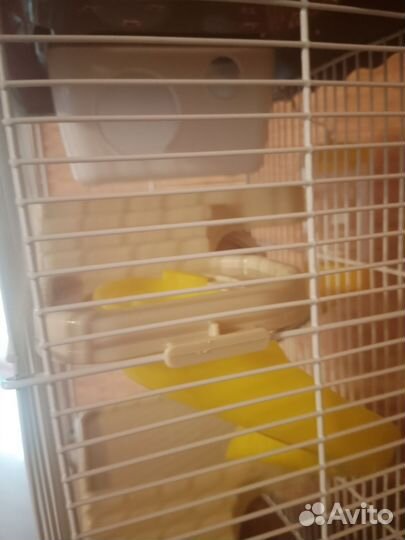 Клетка для хомяка с приятными плюшками сбоку