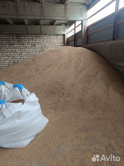 Продам рожь