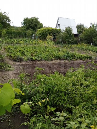 Дача 20 м² на участке 5 сот.