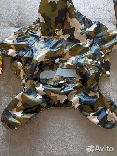 Одежда для собак мелких пород