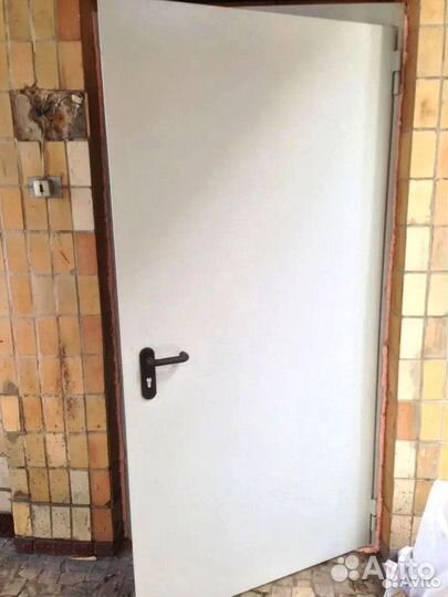 Противопожарная металлическая дверь