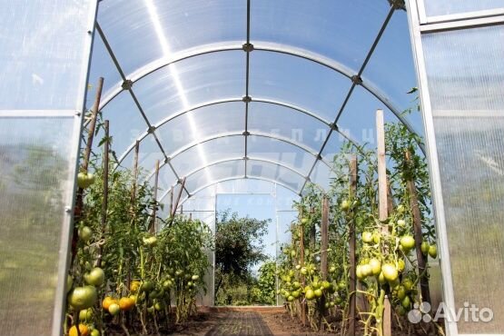 Теплица профи 30х20 3х4